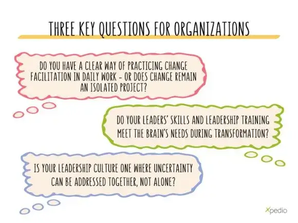 The facilitator leads change with the logic of the brain